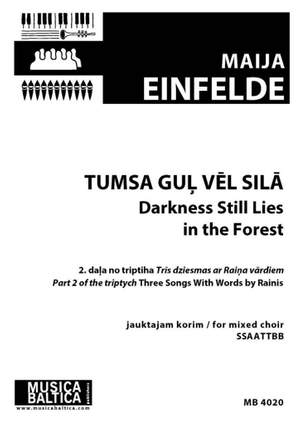 Maija Einfelde: Tumsa guļ vēl silā