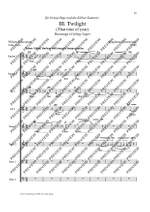 Zimmermann, Magdalena: Twilight Product Image