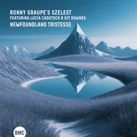 Newfoundland Tristesse