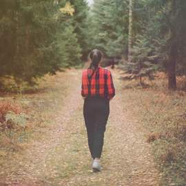 Wald Walk