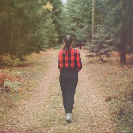 Wald Walk
