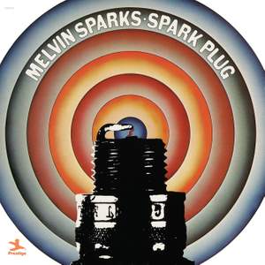 Spark Plug