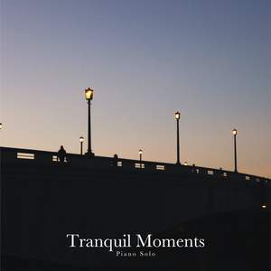 Piano Solo: Tranquil Moments