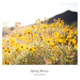 Spring Breeze