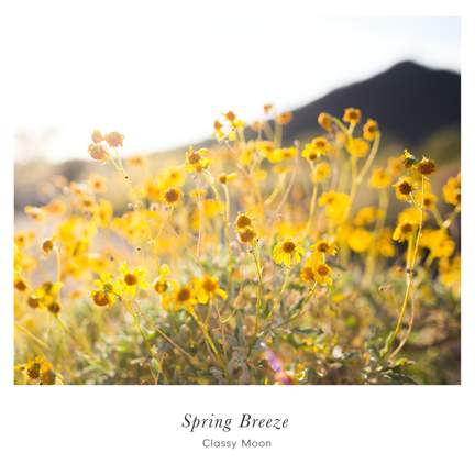 Spring Breeze