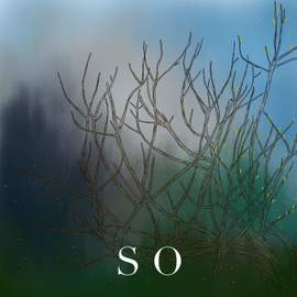S O