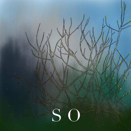 S O