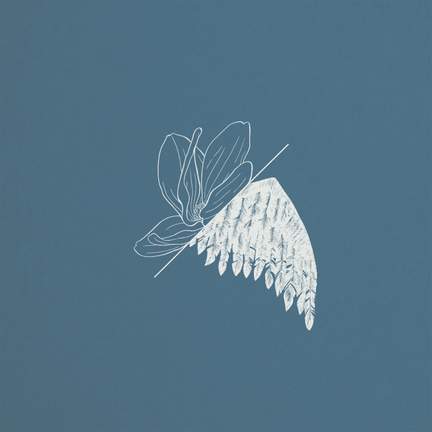 Memory Sketches
