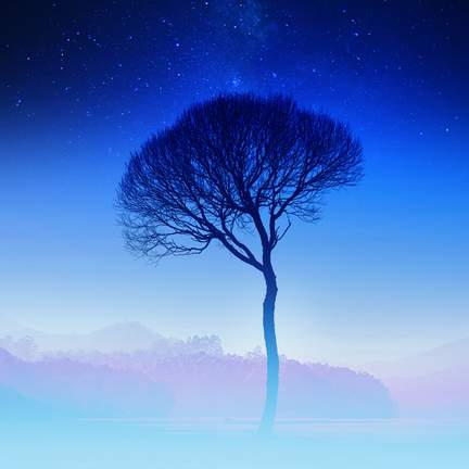 A Simple Beauty