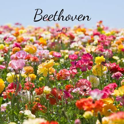 Beethoven vol. 1