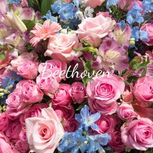 Beethoven vol.2