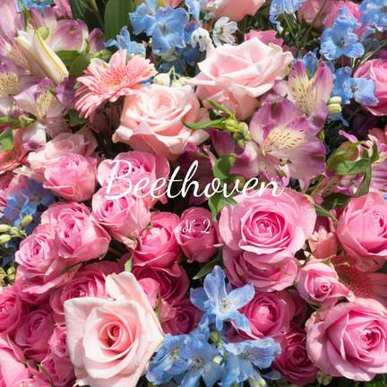 Beethoven vol.2