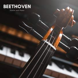 Beethoven: Violin and Piano