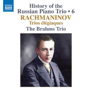 History of the Russian Piano Trio, Vol. 6