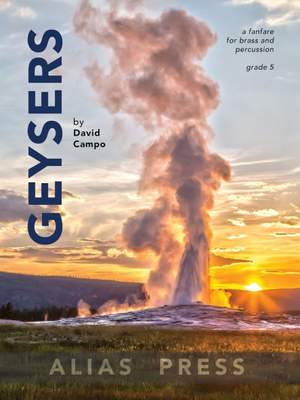 Campo, D: Geysers