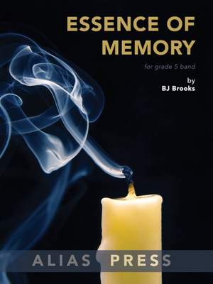 Brooks, B: Essence of Memory