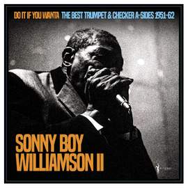 Do It If You Wanta: The Best Trumpet & Checker A-sides 1951-62