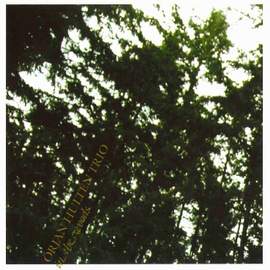 In the Woods