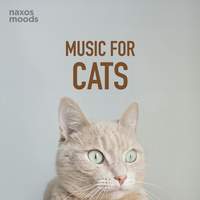 Music for Cats
