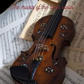 The music of the bass violin