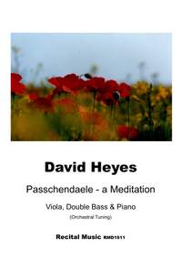 David Heyes: Passchendaele - a Meditation
