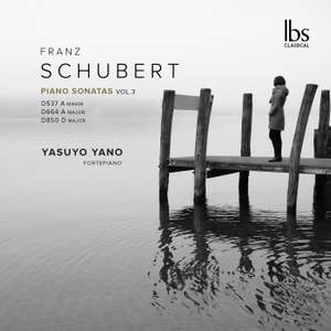 Franz Schubert: Piano Sonatas, Vol.3