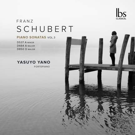 Franz Schubert: Piano Sonatas, Vol.3