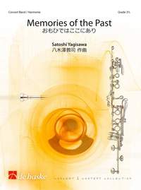 Satoshi Yagisawa: Memories of the Past
