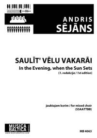 Andris Sejans: Saulit' velu vakarai