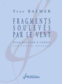 Yves Balmer: Fragments Souleves par le Vent