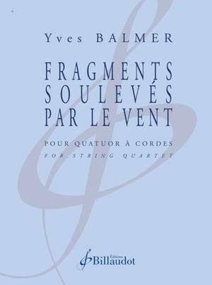 Yves Balmer: Fragments Souleves par le Vent