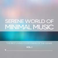 Serene World of Minimalism, Vol. 1