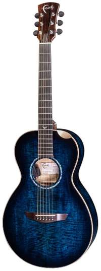 Faith: Acoustic Guitar - Blue Moon Mercury