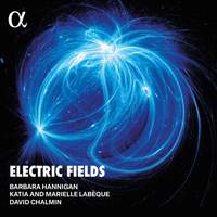 Electric Fields (lp Version)