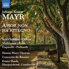 Johann Simon Mayr: Amor Non Ha Ritegno