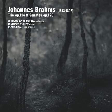 Brahms: Trio Op. 114, Sonates Op. 120