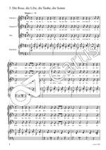 Schumann, Robert: Dichterliebe Product Image