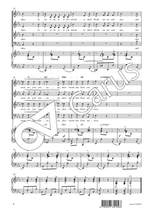 Schumann, Robert: Ein Jüngling liebt ein Mädchen Product Image