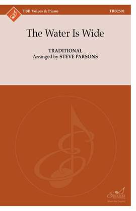 Steve Parsons: The Water Is Wide