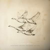 Near The Pond - Wild Geese