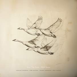 Near The Pond - Wild Geese