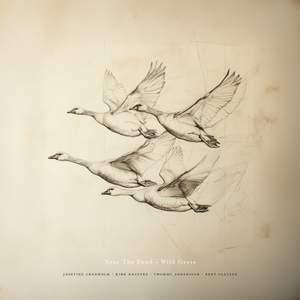 Near The Pond - Wild Geese