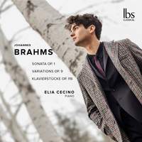 Brahms Piano Works