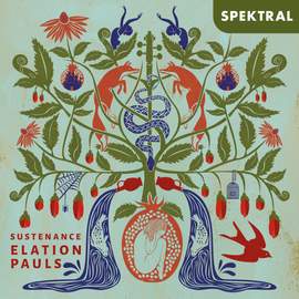 Sustenance - Violin Music from Canada