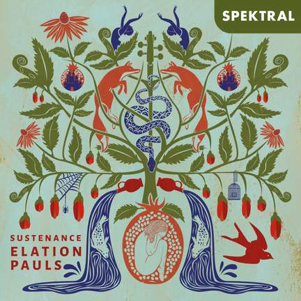 Sustenance - Violin Music from Canada