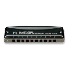 Suzuki Hammond 10-hole diatonic harmonica - D