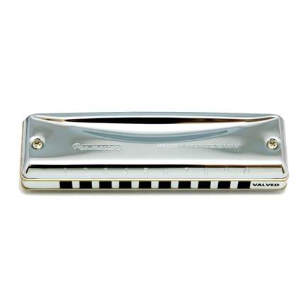 Suzuki Promaster 10-hole diatonic valved harmonica - E
