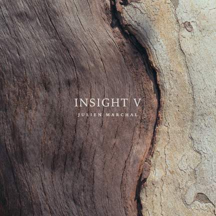 INSIGHT V