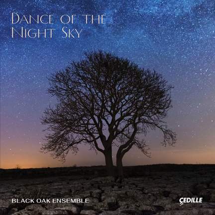 Dance of the Night Sky
