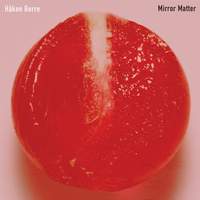 Mirror Matter